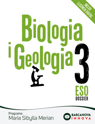 72e145a4cbddf66cfb624800f8a830c05b667f2b_cob_sibylla_3.jpg 72e145a4cbddf66cfb624800f8a830c05b667f2b_cob_sibylla_3.jpg