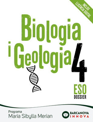 667936696215ea693d2b001ef4cd8fbf77f19b56_cob_sibylla_4.jpg 667936696215ea693d2b001ef4cd8fbf77f19b56_cob_sibylla_4.jpg