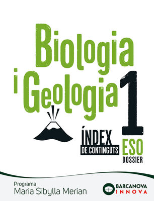 5a5f052c326ceb786254ae4c1bb1ce5137fe8512_cob_index_sibylla_1.jpg 5a5f052c326ceb786254ae4c1bb1ce5137fe8512_cob_index_sibylla_1.jpg