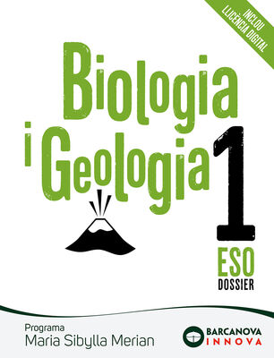 92069fa2cb11637ebc65f62357c5d9303a9c24d5_cob_sibylla_1.jpg 92069fa2cb11637ebc65f62357c5d9303a9c24d5_cob_sibylla_1.jpg
